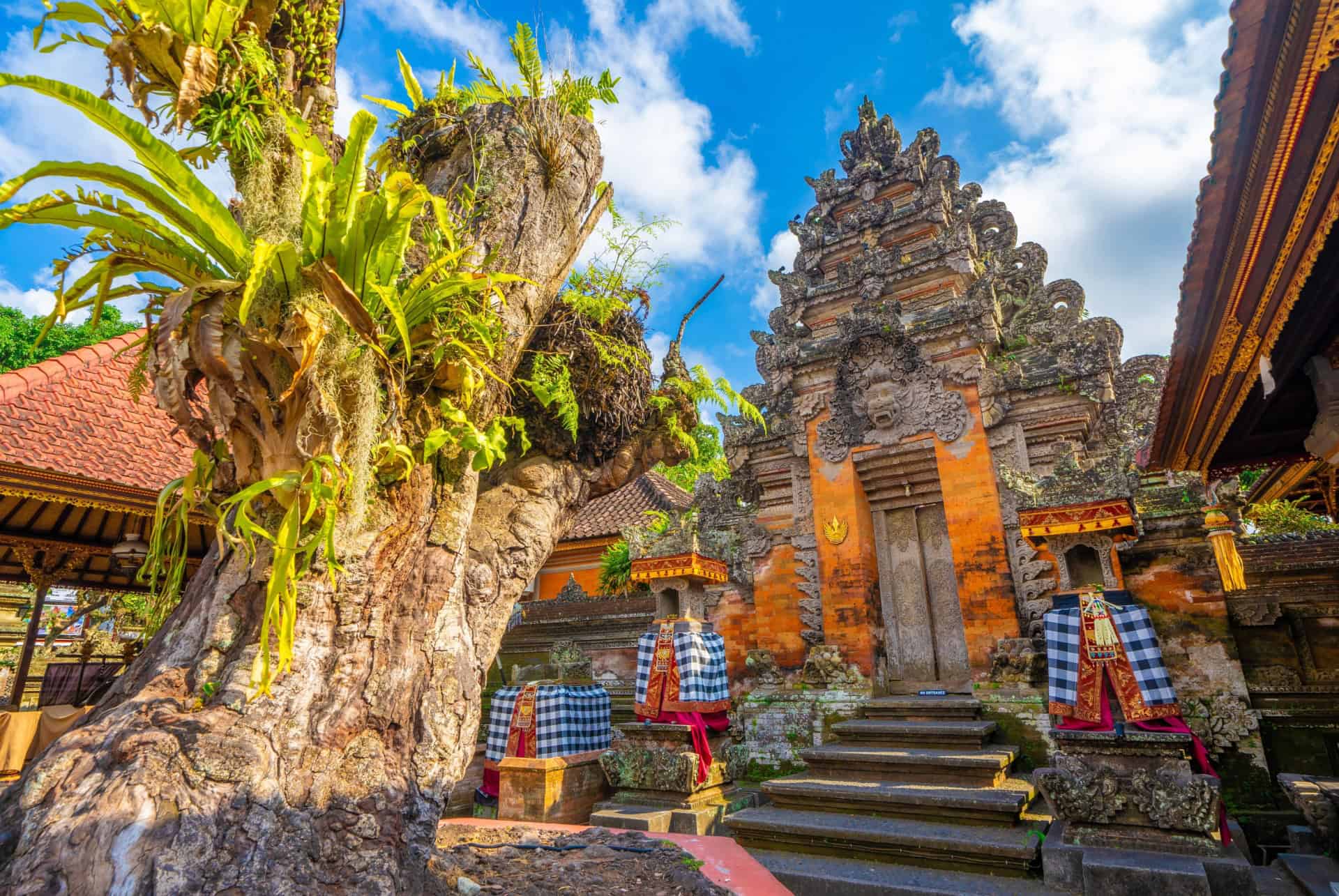 palais ubud palais ubud