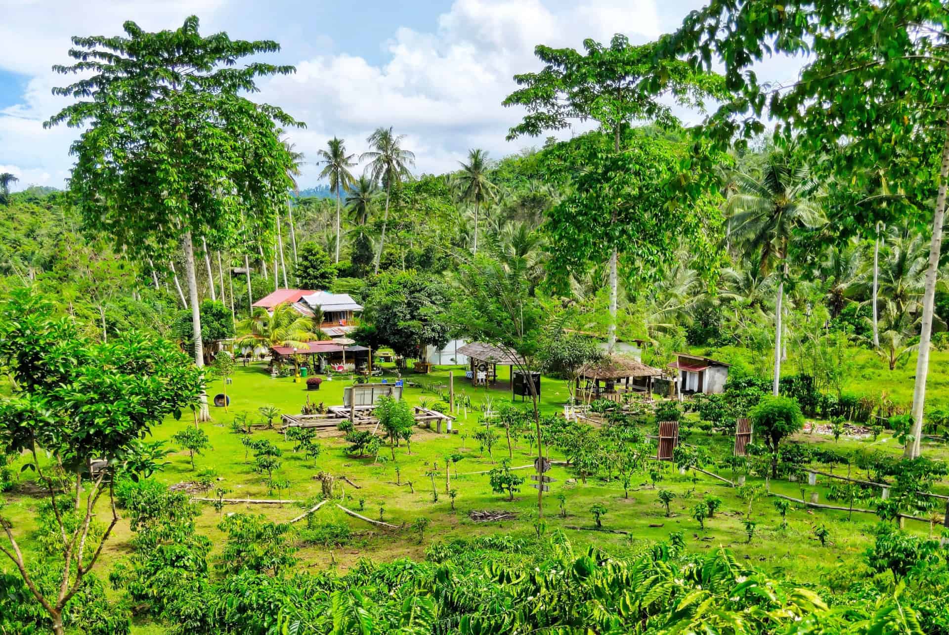 plantation cafe que faire à bali quand il pleut plantation cafe que faire à bali quand il pleut