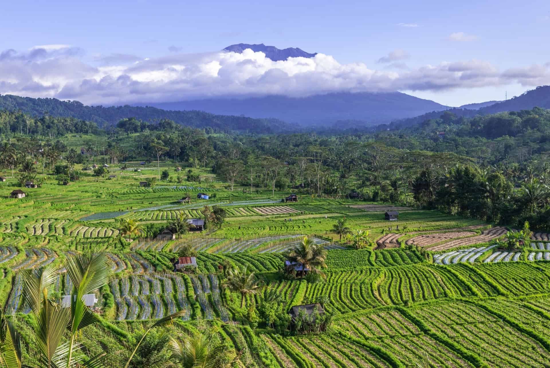sidemen mont agung sidemen ou dormir pas cher a bali