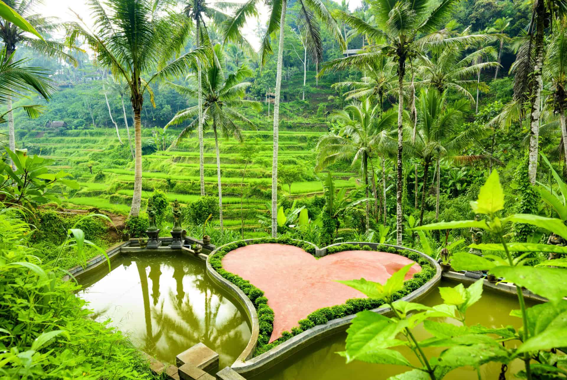 tegallaland rizieres bali tegallaland rizieres bali