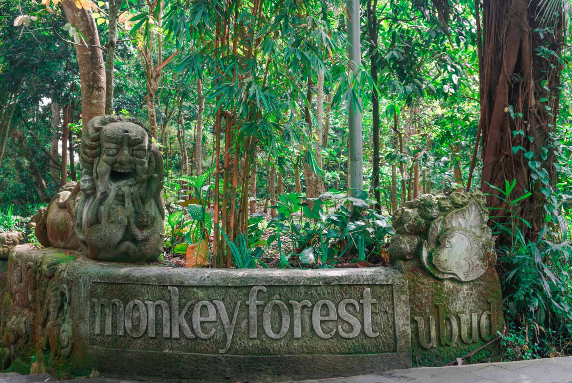 entree de la foret des singes a ubud entree de la foret des singes a ubud