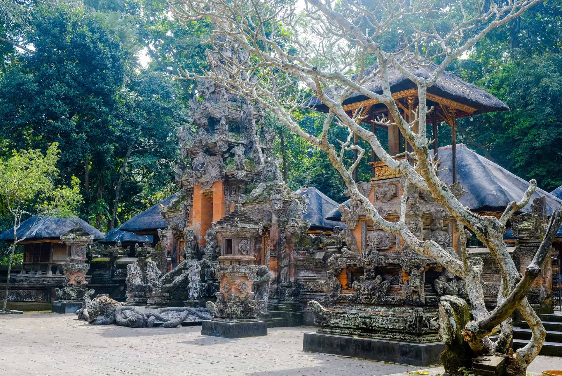 temple dans la foret des singes a ubud temple dans la foret des singes a ubud