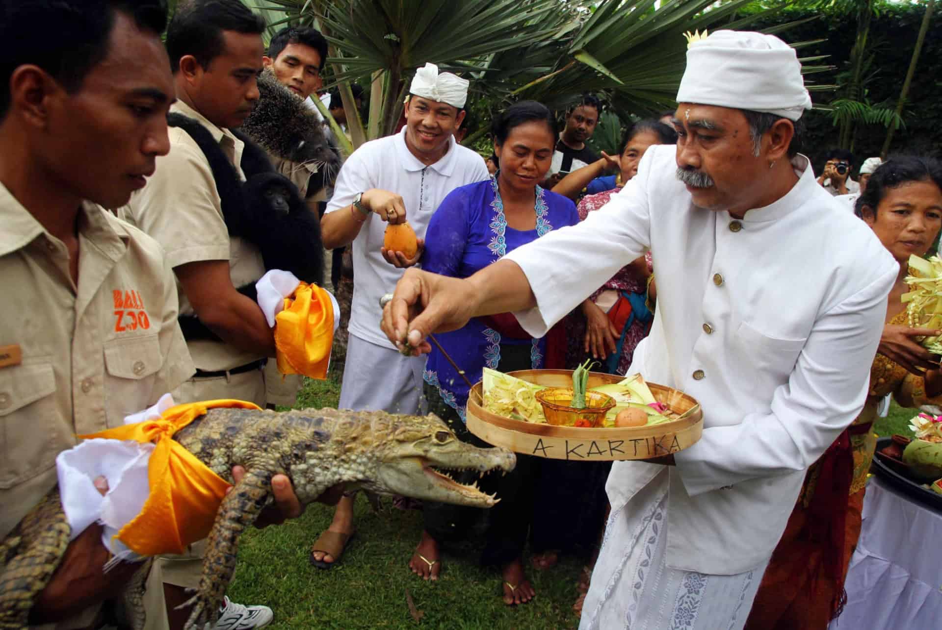tumpek bali en septembre tumpek bali en septembre