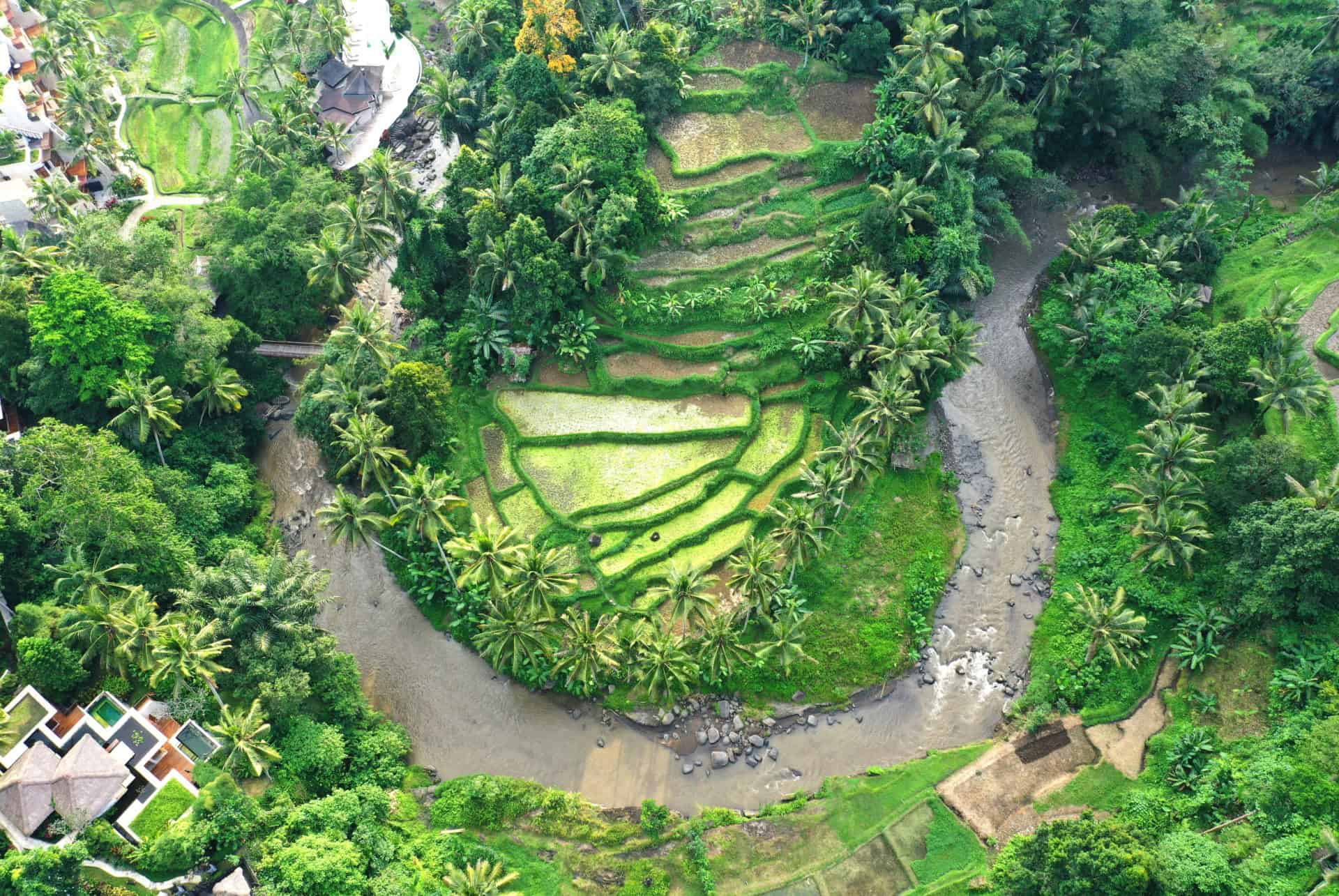 Sayan, Ubud Sayan, Ubud