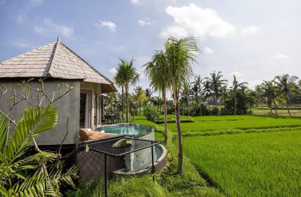 the wakanda resort