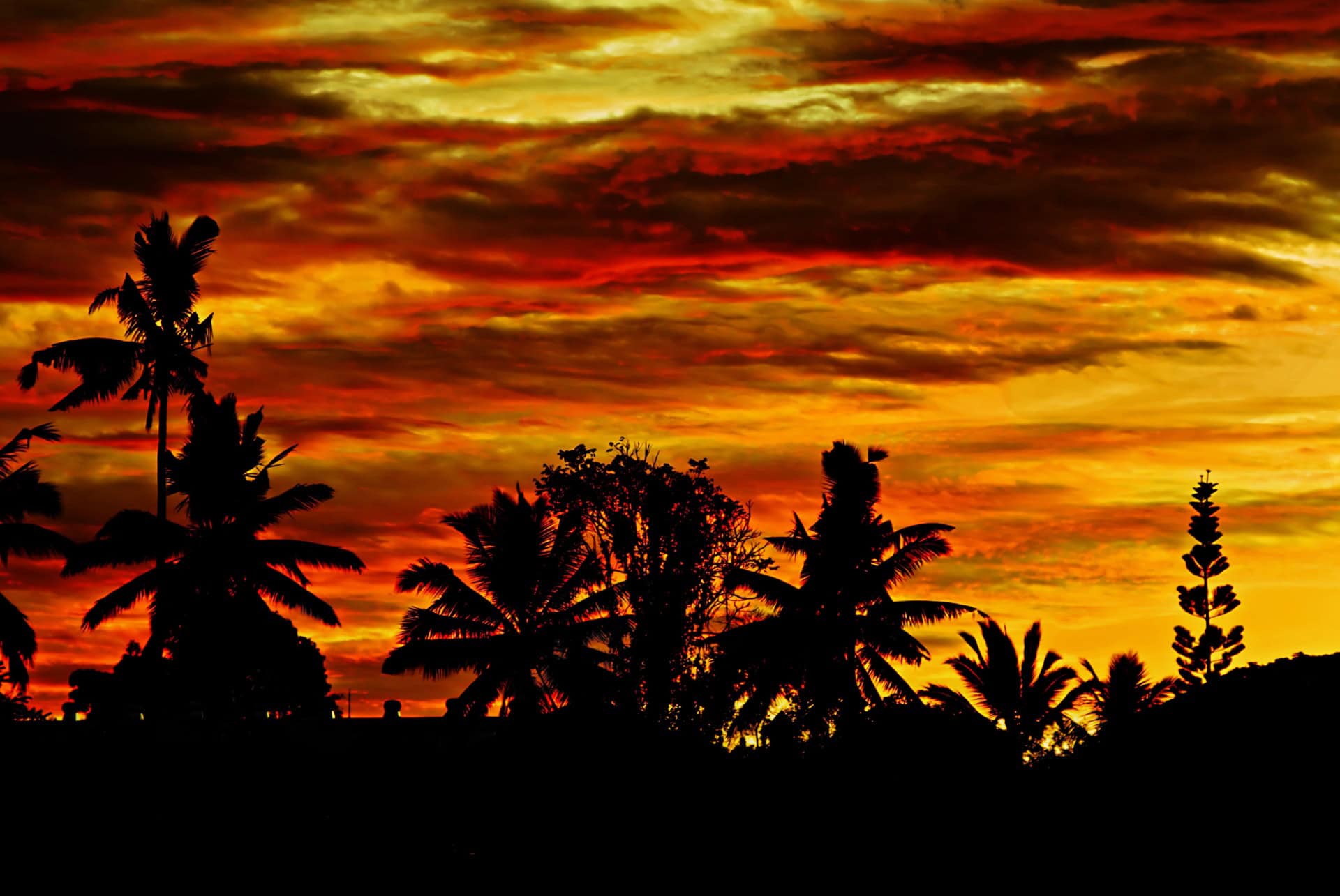 ubud de nuit ubud de nuit