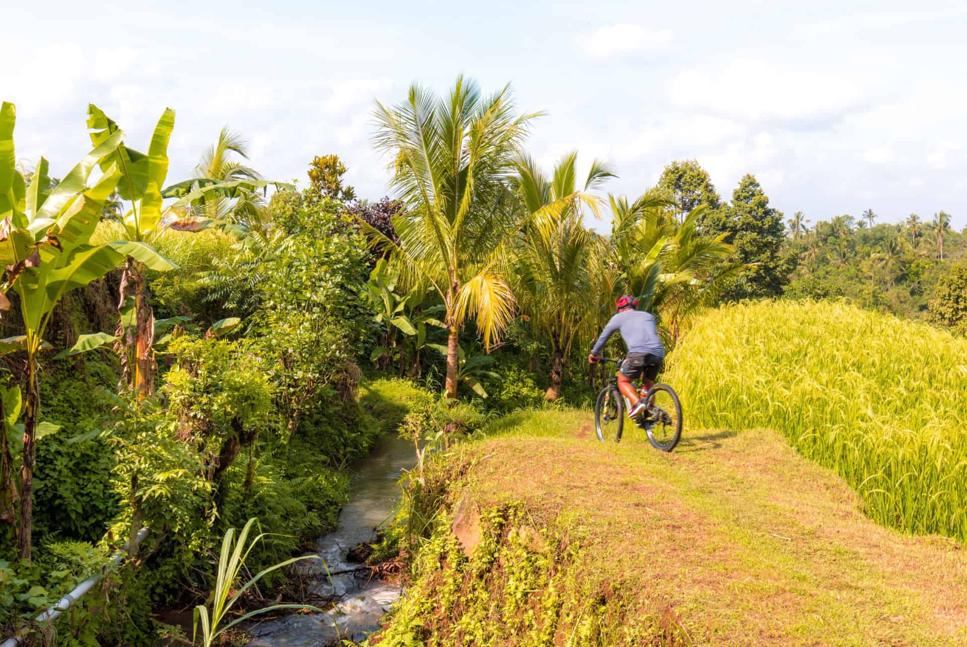 ubud visite guidee en vtt ou quad