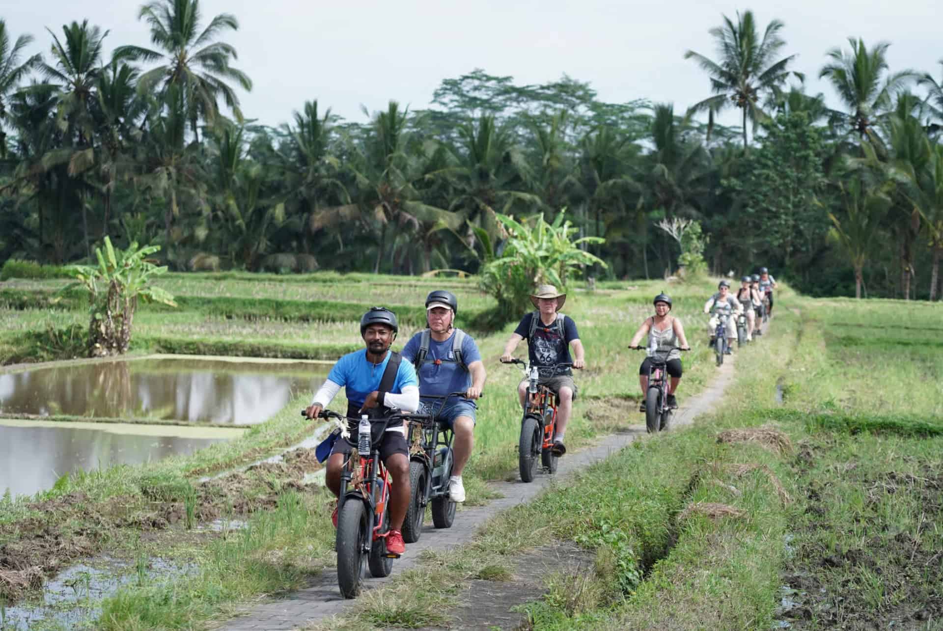 visite e bike tegallalang