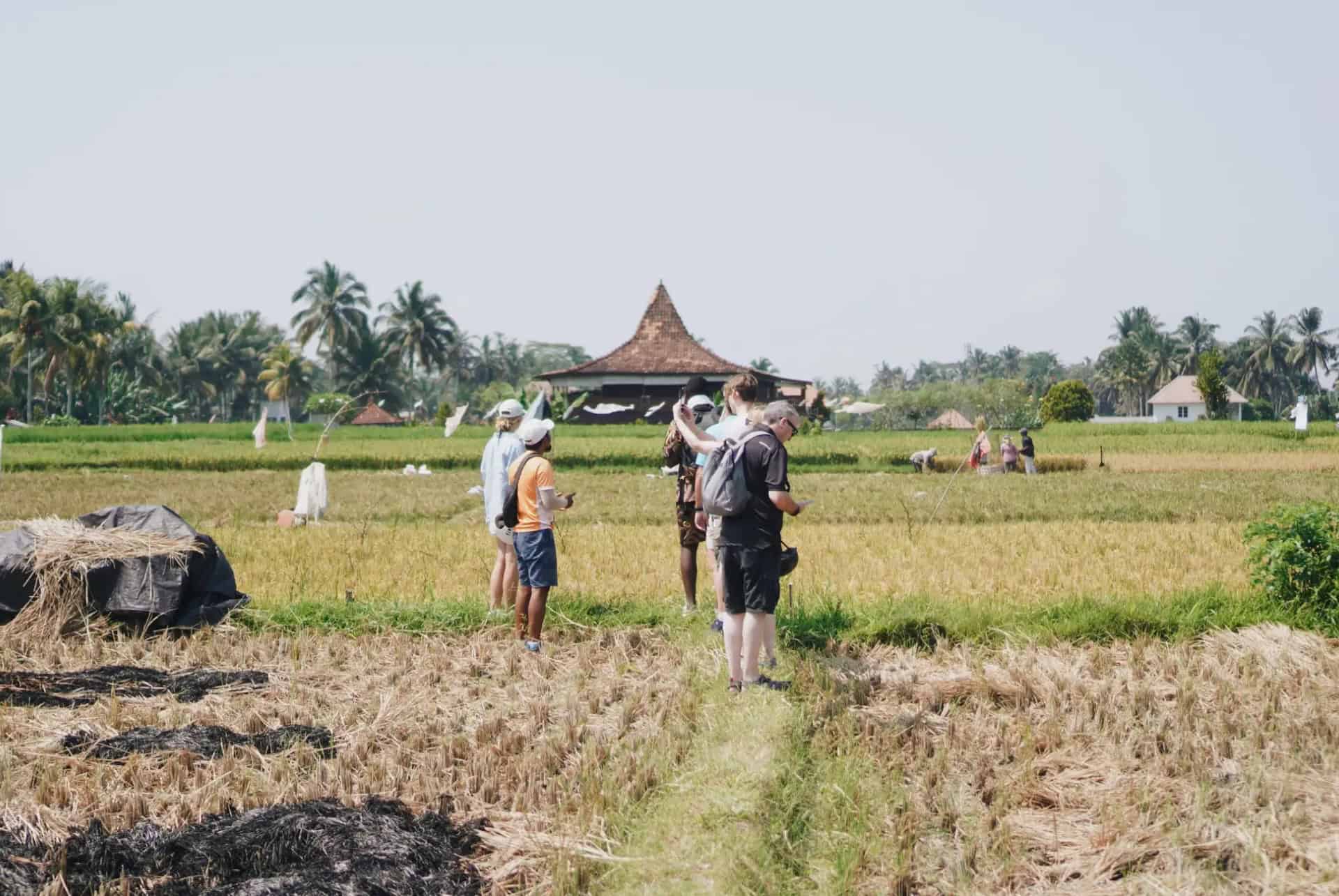 visite velo tegallalang