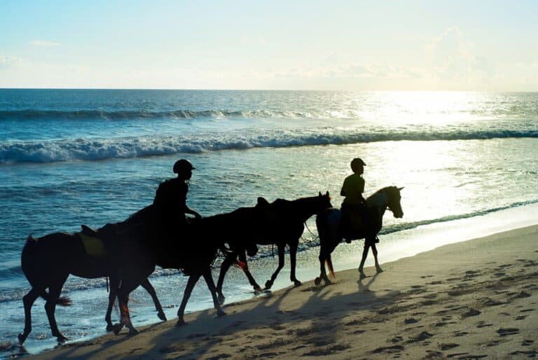Balade à cheval sur la plage