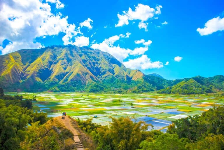 Excursion à Sendang Gile, Tiu Kelep et Selong Hill