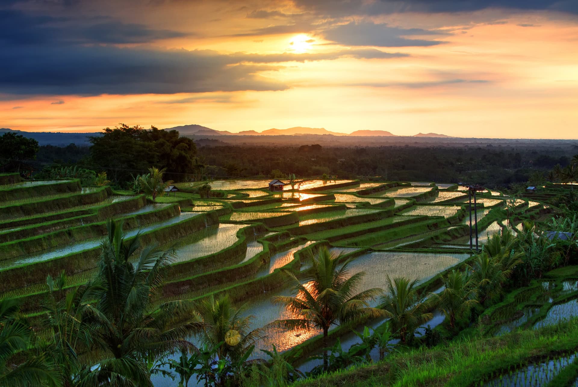 jatiluwih lever de soleil