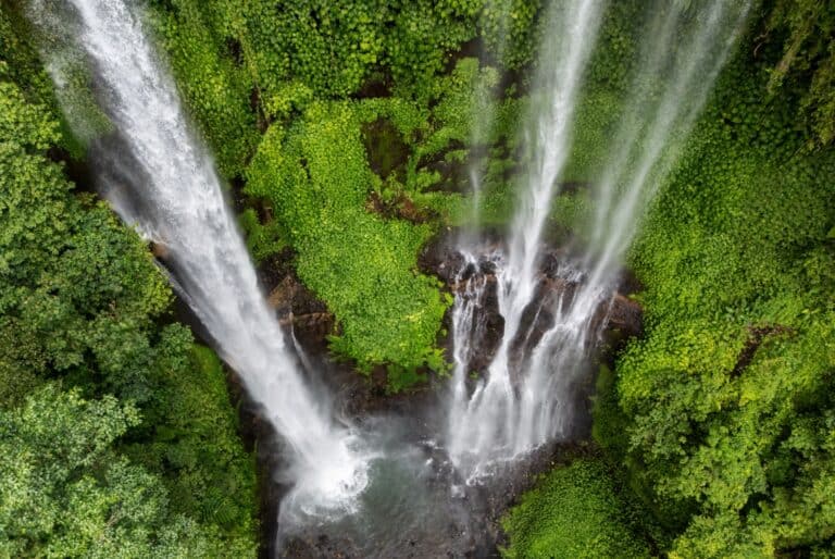 Visite guidée des chutes d'eau de Sekumpul et rizières de Banyumala