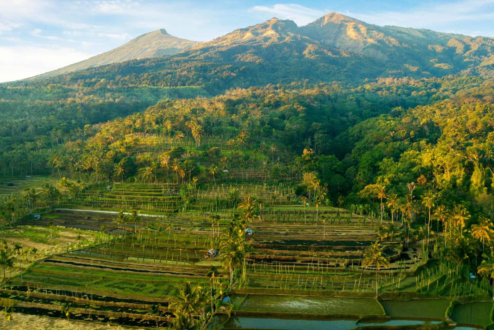 tetebatu tetebatu