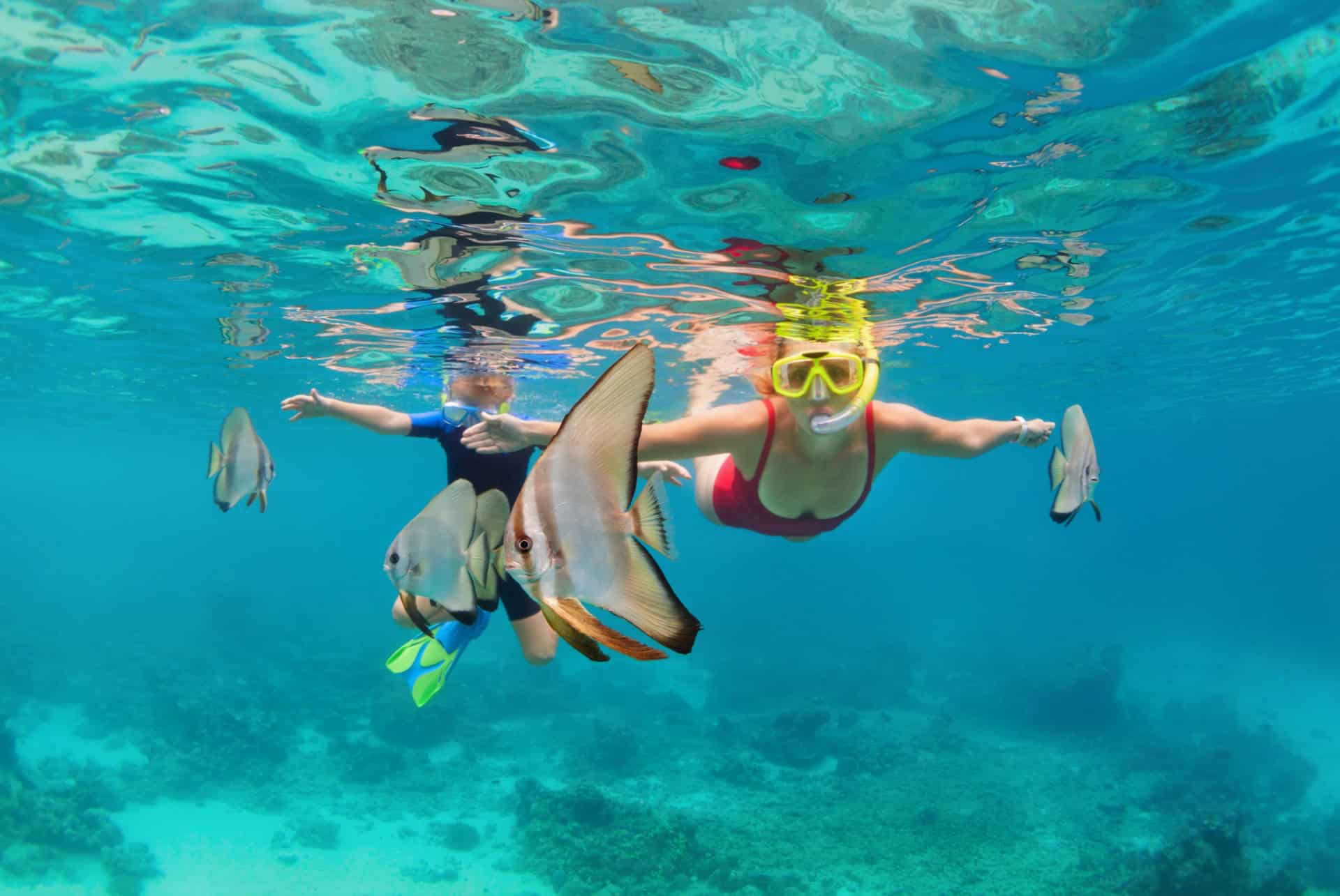ile de menjangan bali ile de menjangan bali