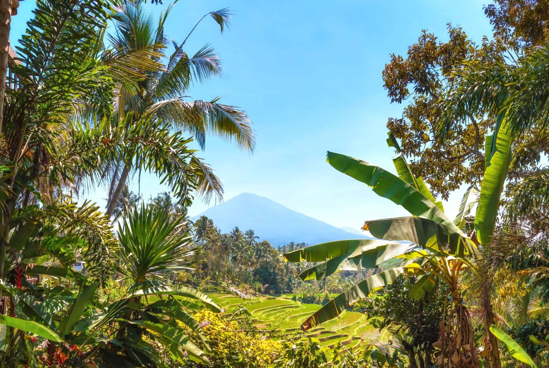 mont batukaru