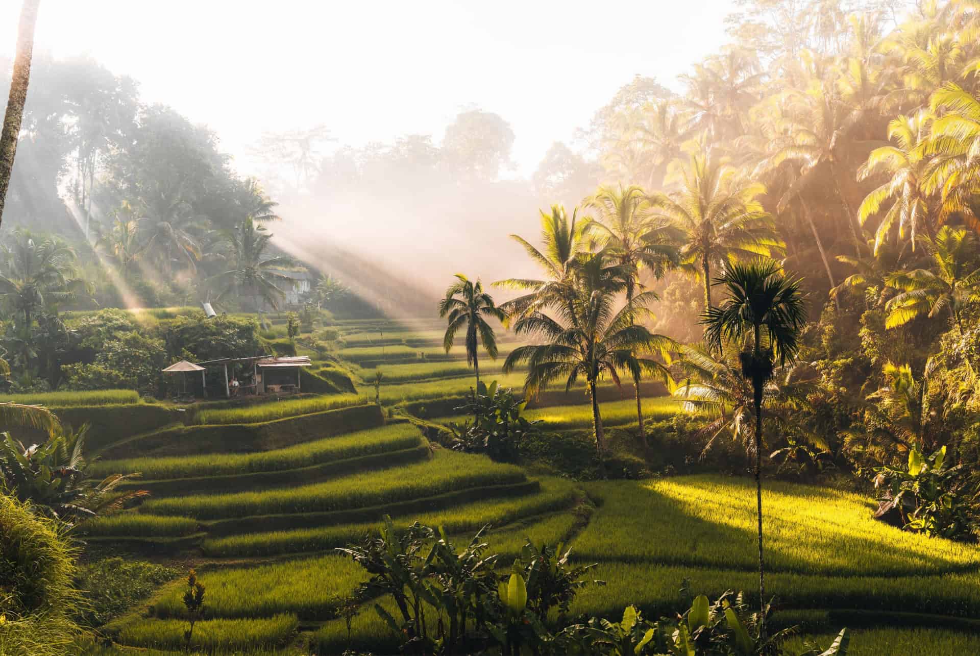 climat bali fevrier climat bali fevrier
