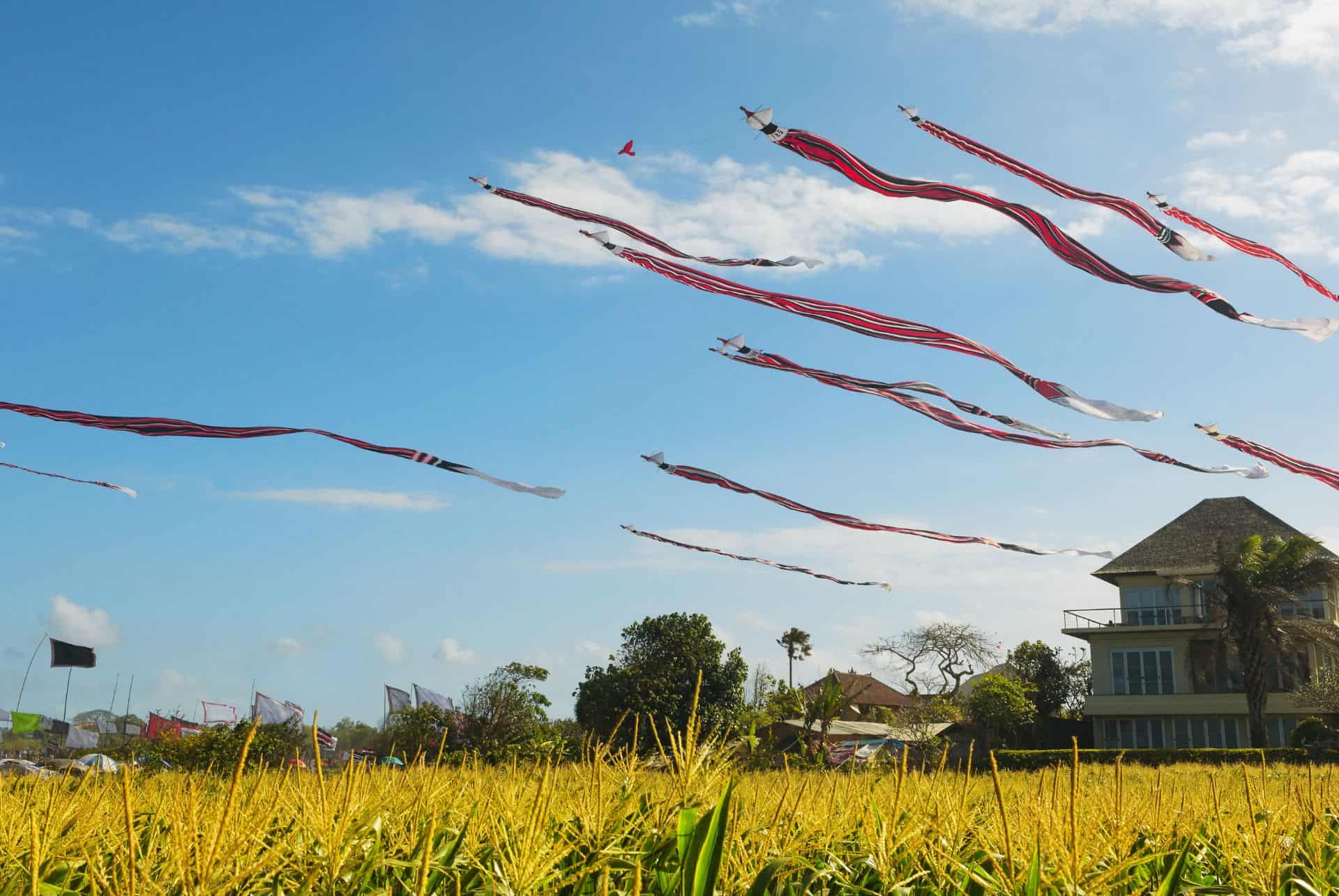 festival des cerfs volants les fetes et jours feries a bali