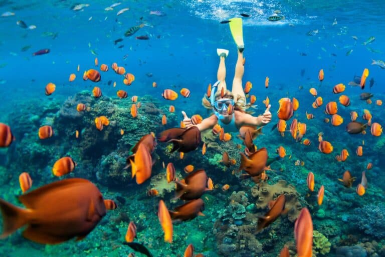 Excursion de snorkeling au Blue Lagoon