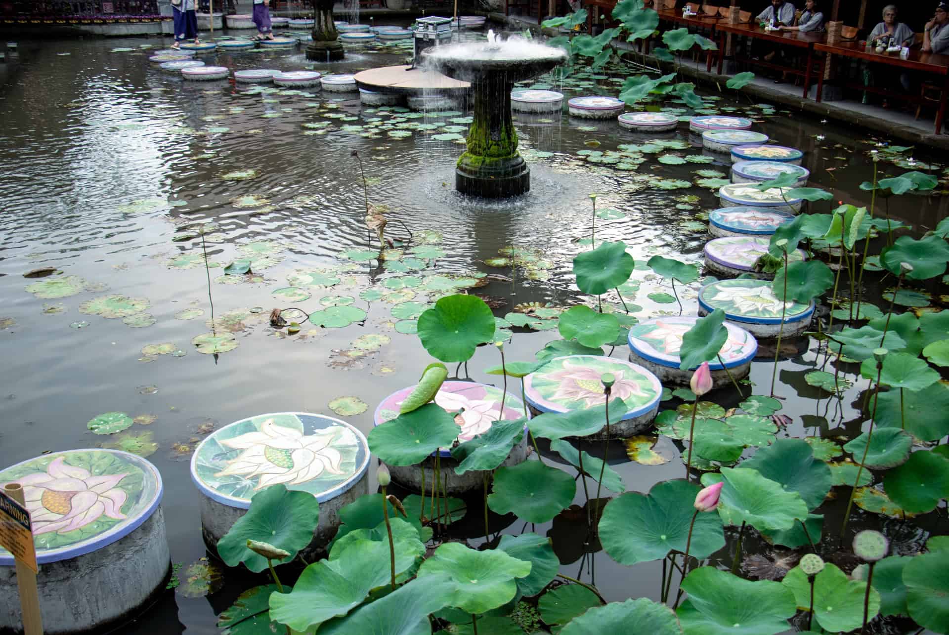 palais ubud bassin lotus