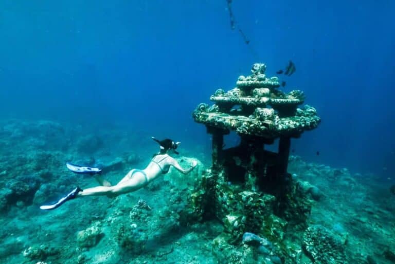 Snorkeling à Turtle Point