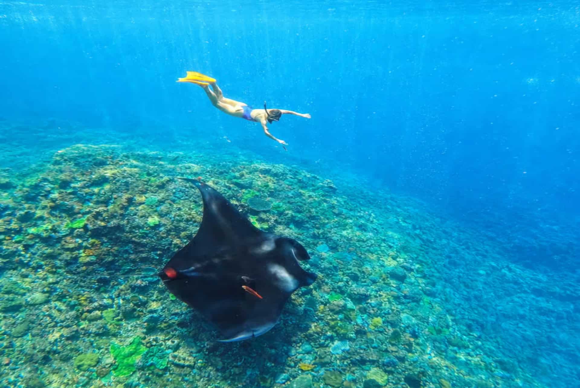 plongee nusa penida retraite spirituelle à Bali plongee nusa penida retraite spirituelle à Bali